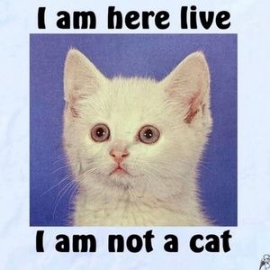 Meet your Posher, Charlene